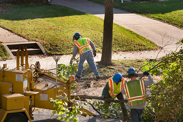 Lawn Pest Prevention in Brownwood, TX